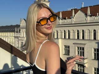VegaWild hd webcam